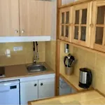 Au Pied Des Pistes Appartement Arette